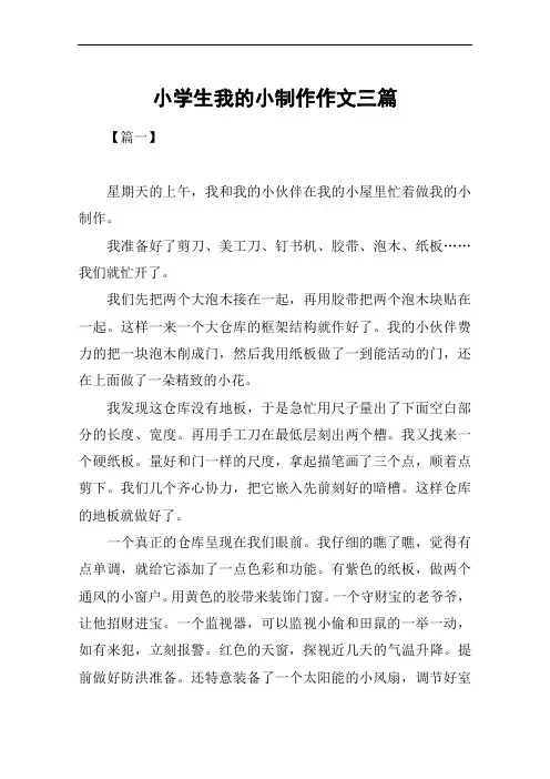 小学生我的小制作作文三篇