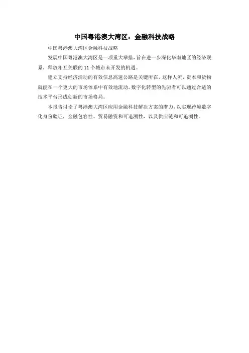 中国粤港澳大湾区：金融科技战略