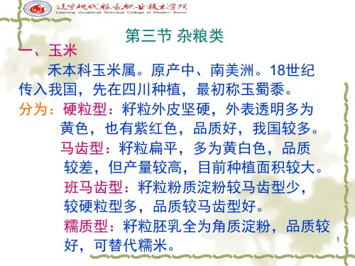 2第五章粮食类烹饪原料PPT课件