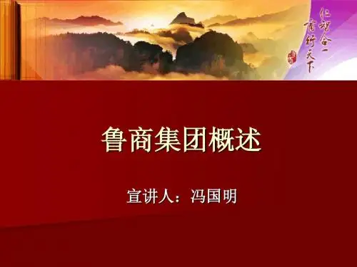 鲁商集团概述