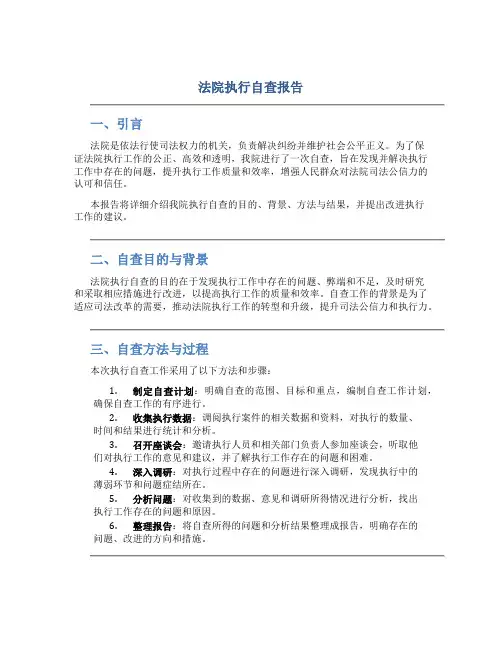 法院执行自查报告