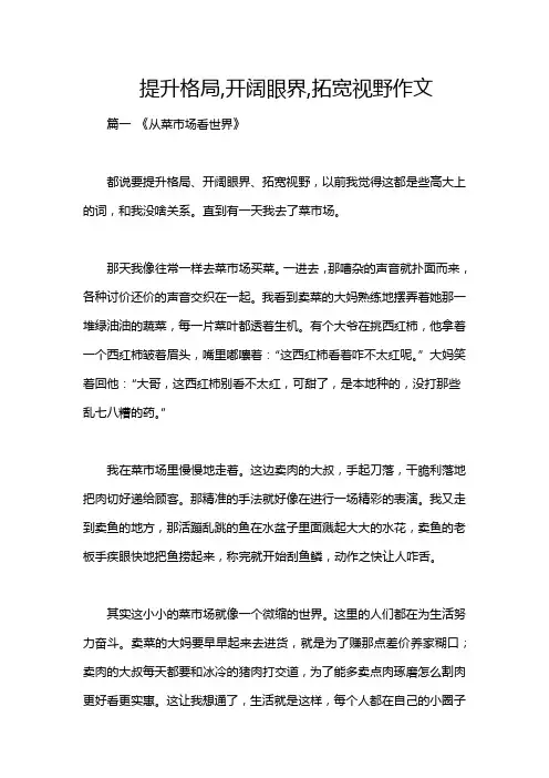 提升格局,开阔眼界,拓宽视野作文