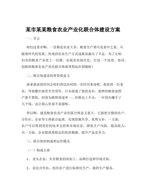 某市某某粮食农业产业化联合体建设方案