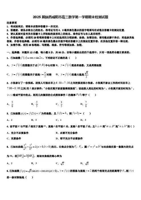 2025届陕西咸阳市高三数学第一学期期末检测试题含解析
