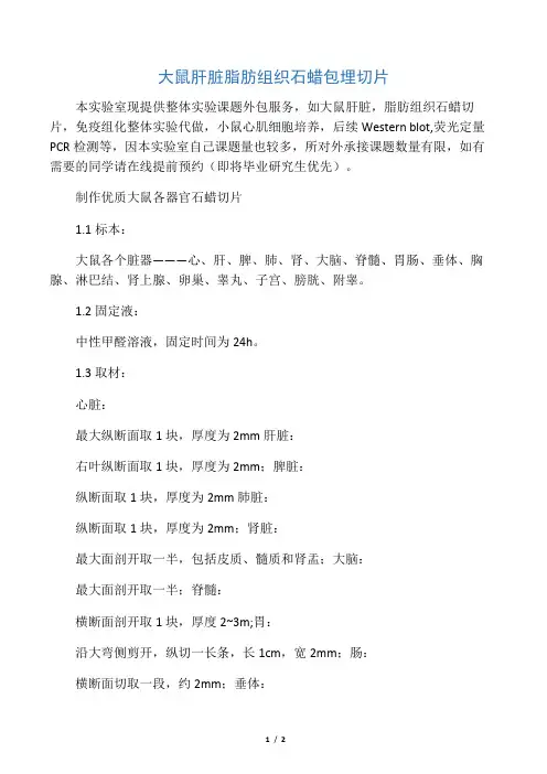 肝脏切片