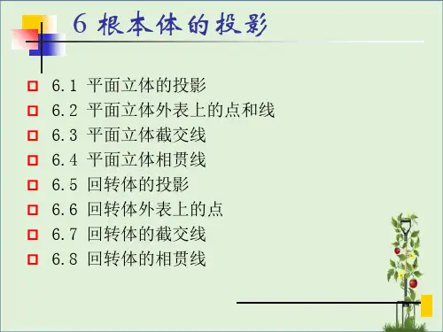 6基本体的投影(孙霞)解析
