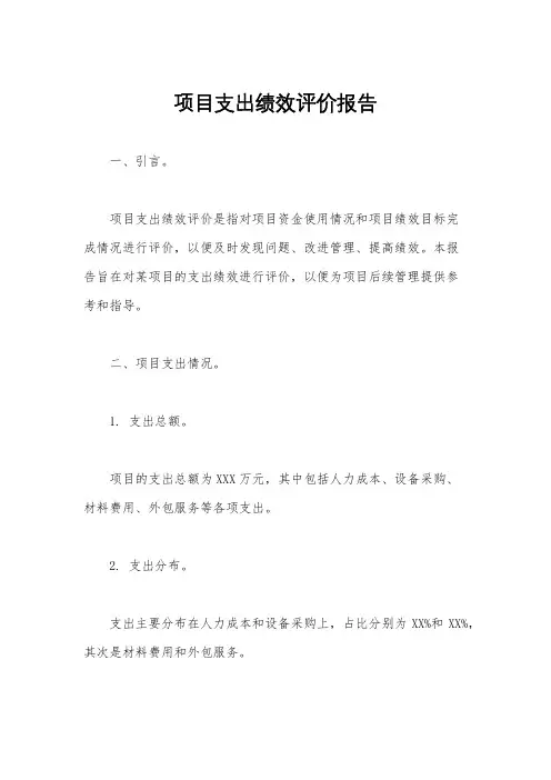 项目支出绩效评价报告