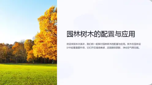 园林树木的配置与应用
