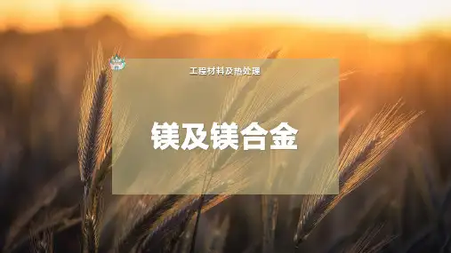 镁及镁合金