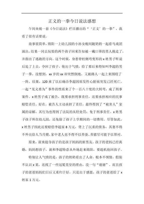 正义的一拳今日说法感想