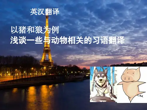 动物习语英语翻译