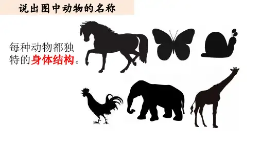 《观察我们的身体》教学课件