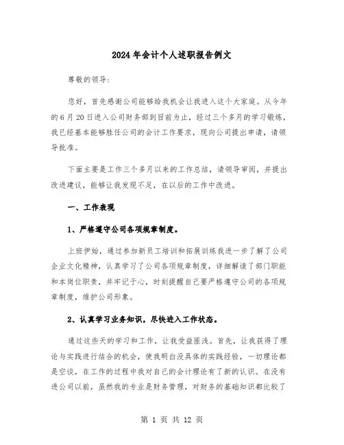 2024年会计个人述职报告例文（五篇）