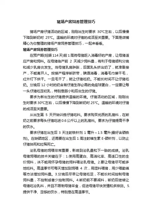 猪场产房饲养管理技巧