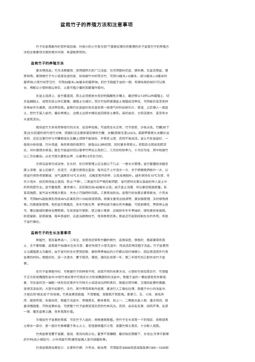 盆栽竹子的养殖方法和注意事项