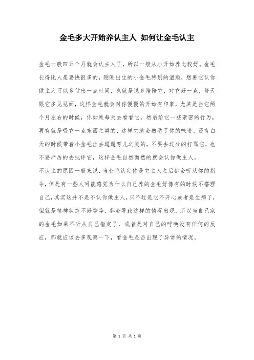 金毛多大开始养认主人 如何让金毛认主