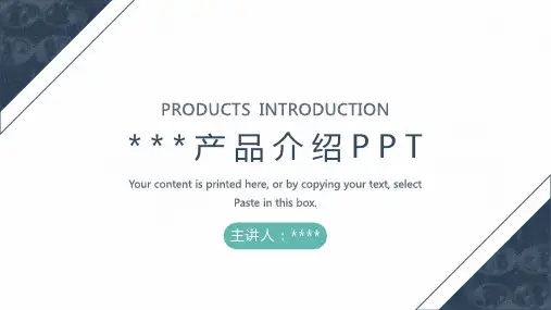 机械风产品介绍PPT模板