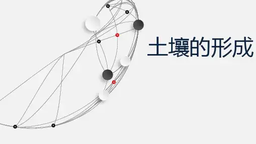 土壤的形成-高一地理必修第一册(湘教版2019)