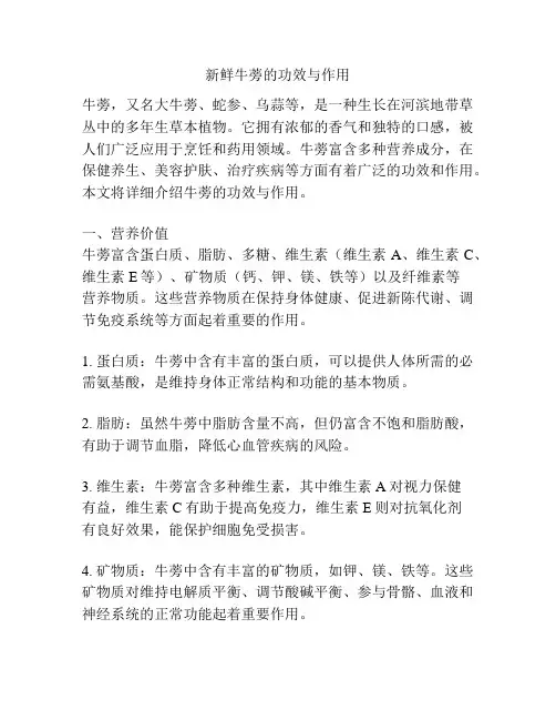 新鲜牛蒡的功效与作用
