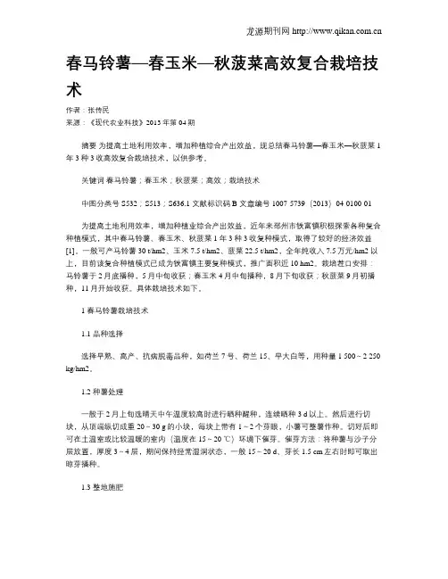 春马铃薯—春玉米—秋菠菜高效复合栽培技术
