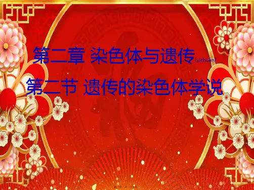 高中生物 第二章 染色体与遗传 2.2 遗传的染色体学说课件 浙科浙科高一生物课件