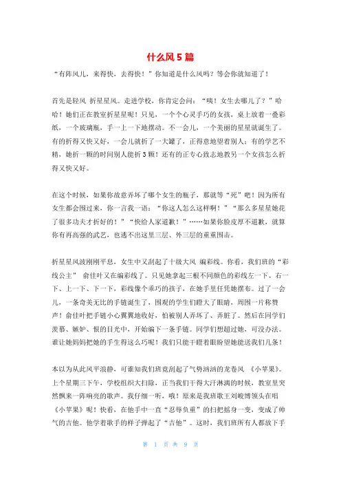 什么风5篇