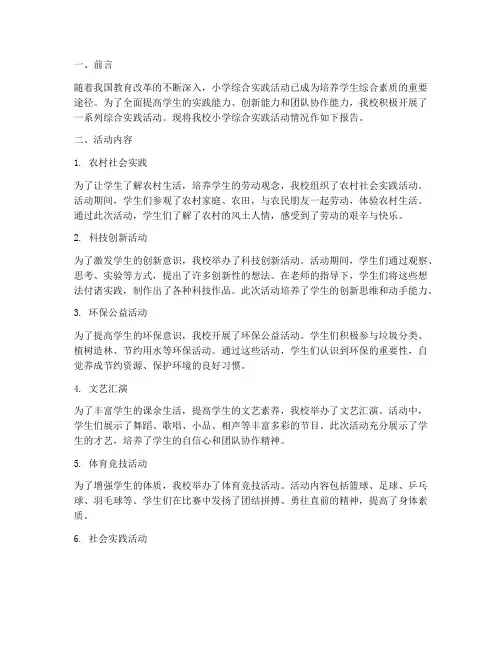 小学综合实践活动情况