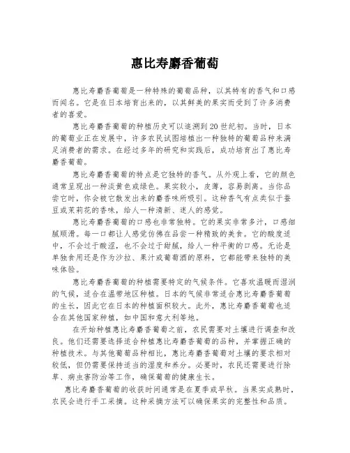 惠比寿麝香葡萄