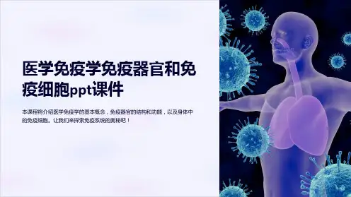 医学免疫学免疫器官和免疫细胞课件
