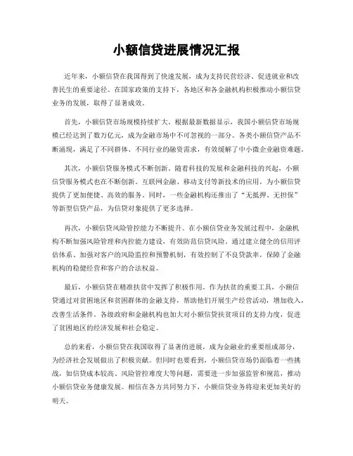小额信贷进展情况汇报
