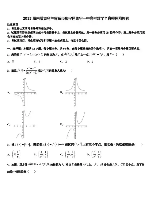 2025届内蒙古乌兰察布市集宁区集宁一中高考数学全真模拟密押卷含解析