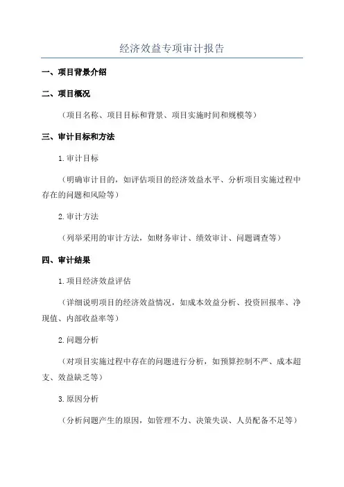 经济效益专项审计报告