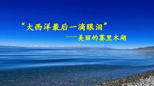 2024届高考地理一轮复习+课件+水循环
