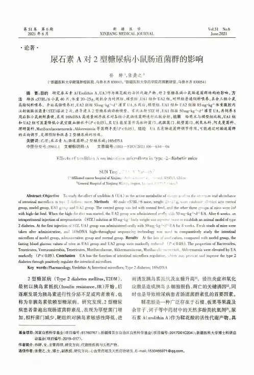尿石素A对2型糖尿病小鼠肠道菌群的影响