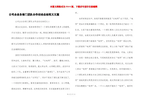 公司企业各部门团队合作活动总结范文五篇