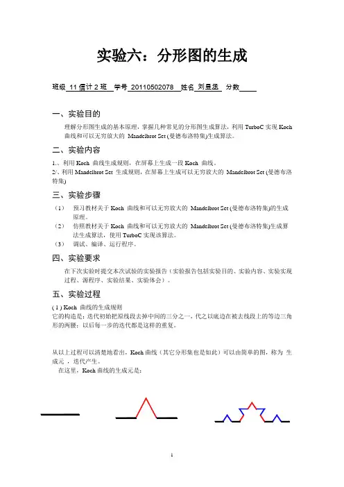 计算机图形学实验报告(分形图)