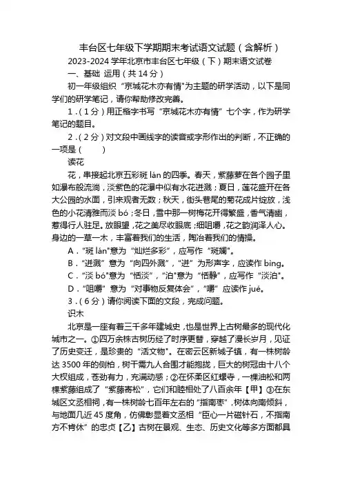 丰台区七年级下学期期末考试语文试题(含解析)