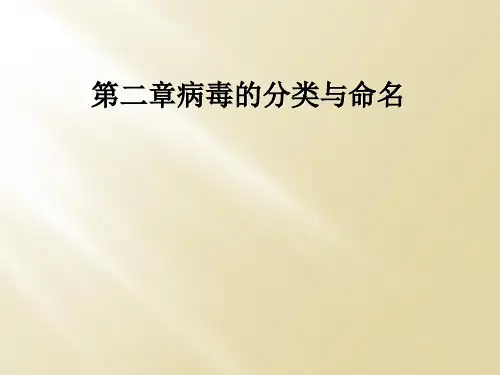 第二章病毒的分类与命名