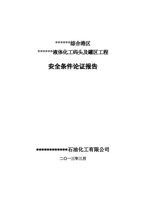 安全条件论证报告(送审稿)