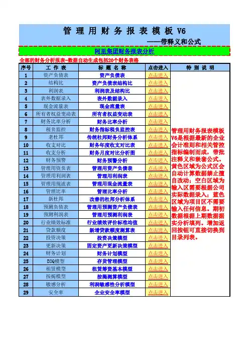 阿里集团财务报表分析模板(带释义和公式)V6