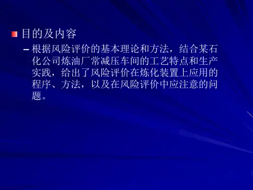 安全评价的应用实例PPT55页课件