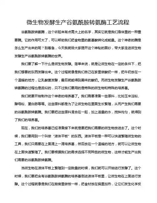 微生物发酵生产谷氨酰胺转氨酶工艺流程