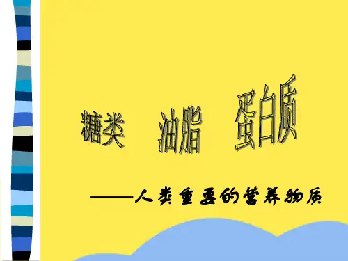 糖类-油脂-蛋白质优选PPT文档