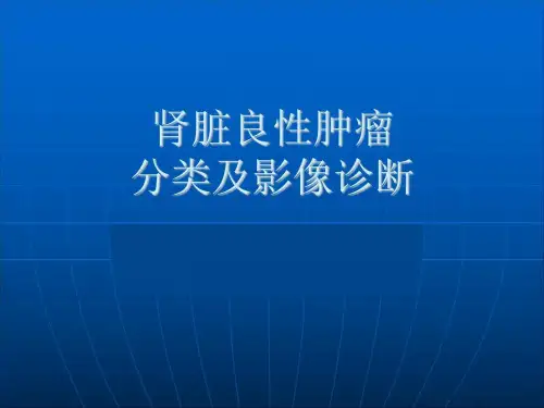 肾脏良性肿瘤分类及影像诊断