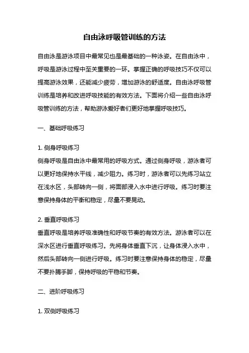 自由泳呼吸管训练的方法