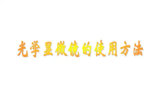 高中生物显微镜的使用