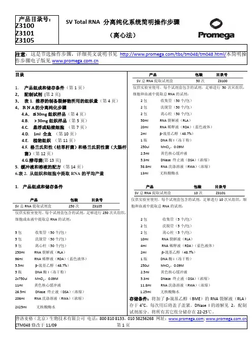 Promega RNA 试剂盒(中文)