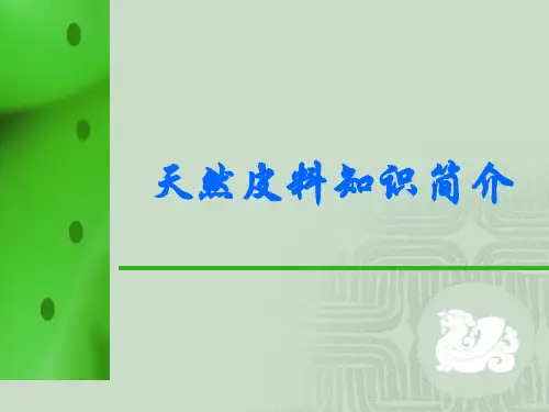 皮料知识专题知识