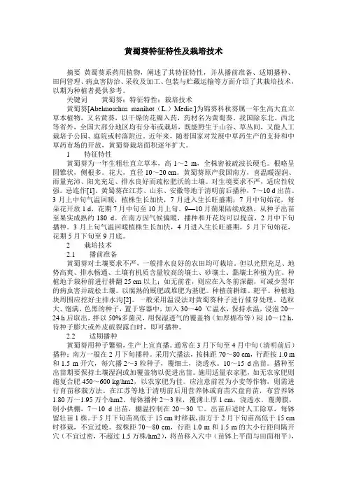 黄蜀葵特征特性及栽培技术