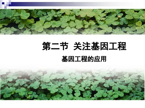 苏教版选修三关注基因工程 (第一课时)课件(16张)